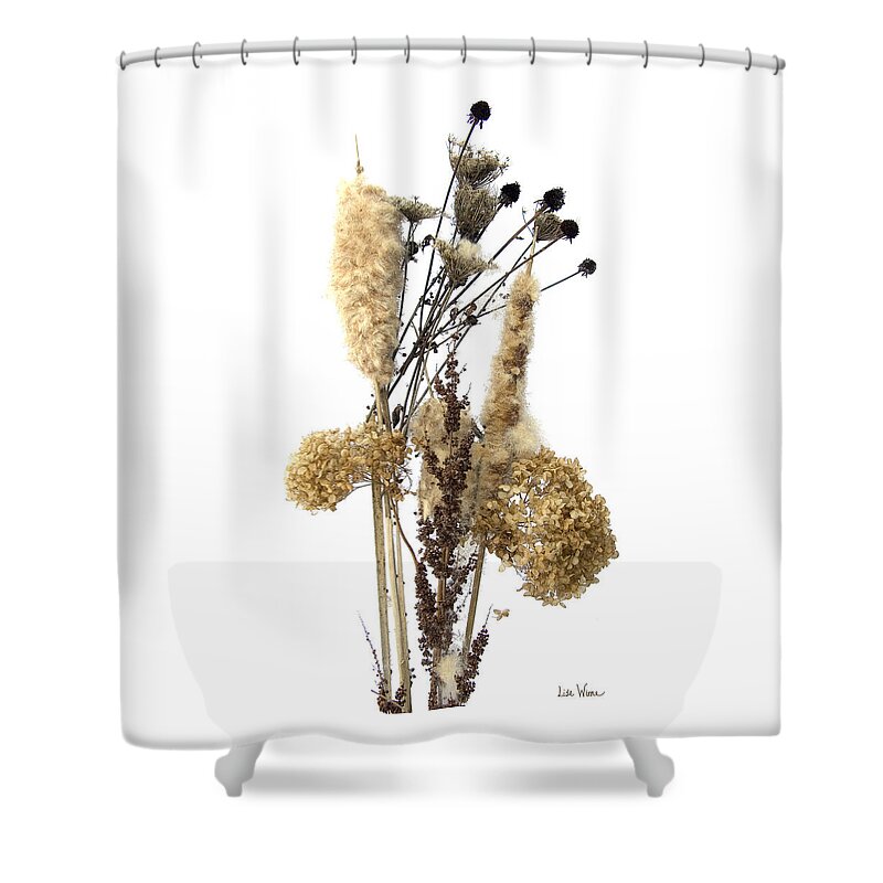 Lise Winne Shower Curtain featuring the digital art Cattails and November Flowers II by Lise Winne