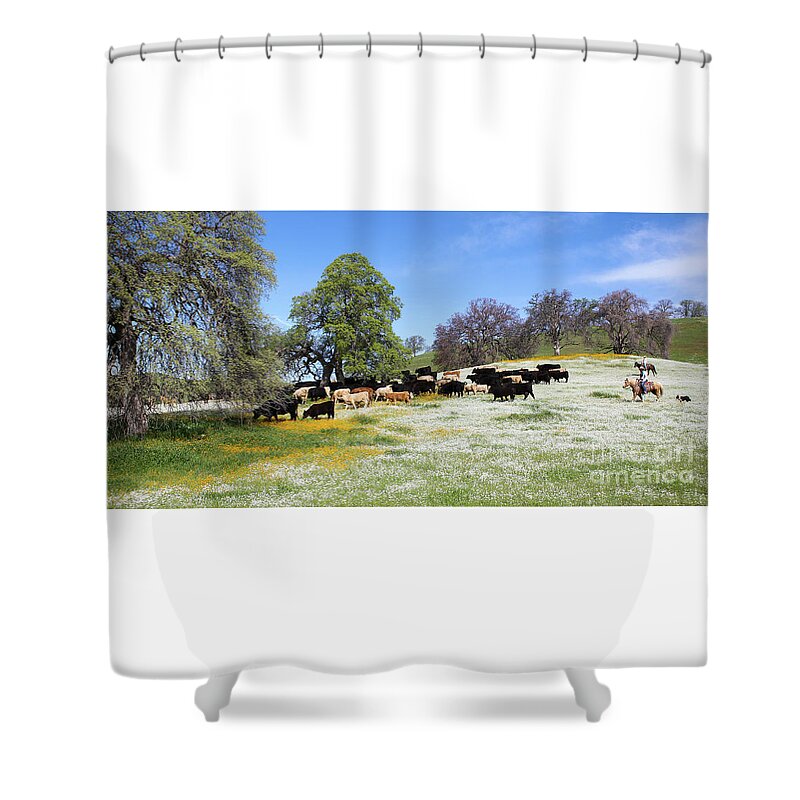 Cattle Shower Curtain featuring the photograph Cattle N Flowers by Diane Bohna
