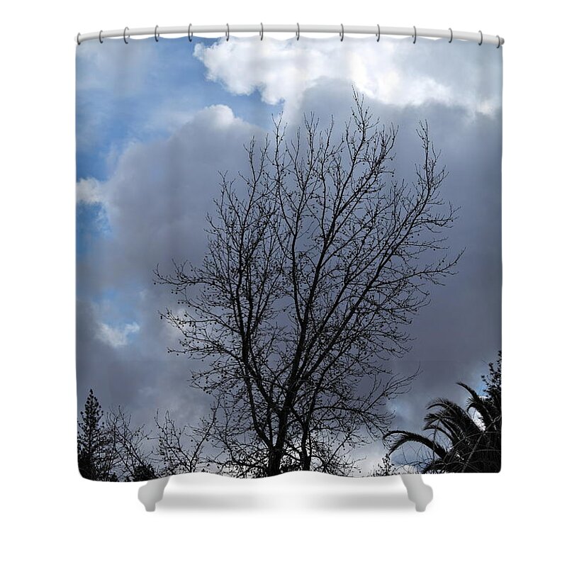 Landscape Shower Curtain featuring the photograph Caught Between the Storms by Michele Myers