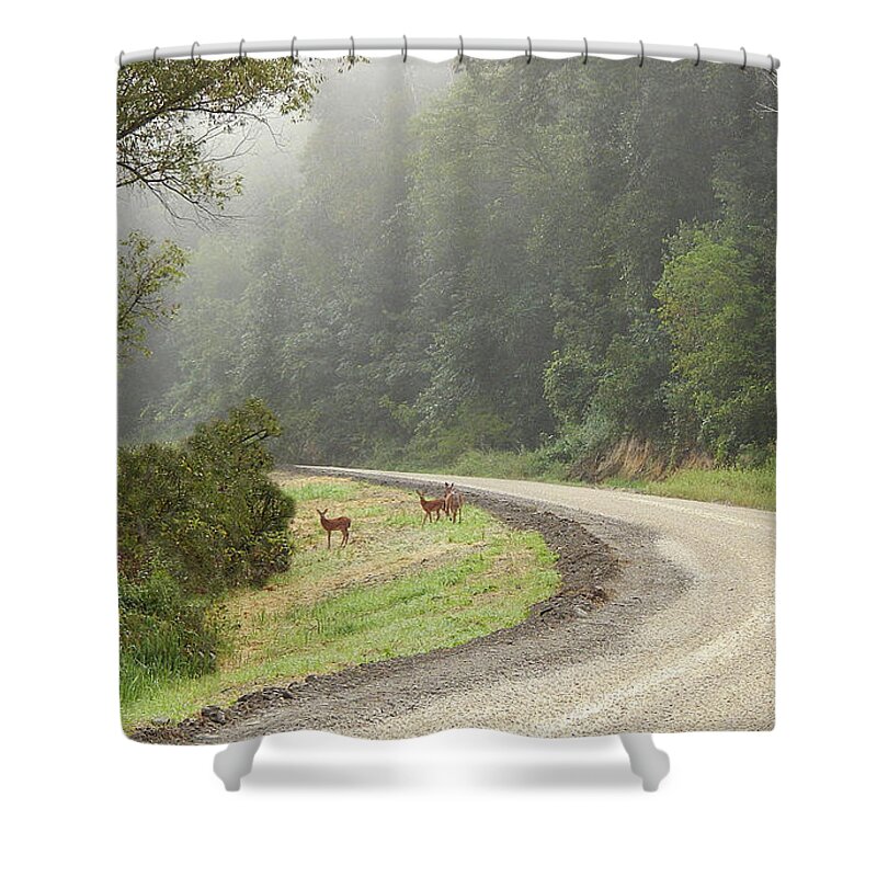 Summer Shower Curtain featuring the photograph Caution by Wild Thing