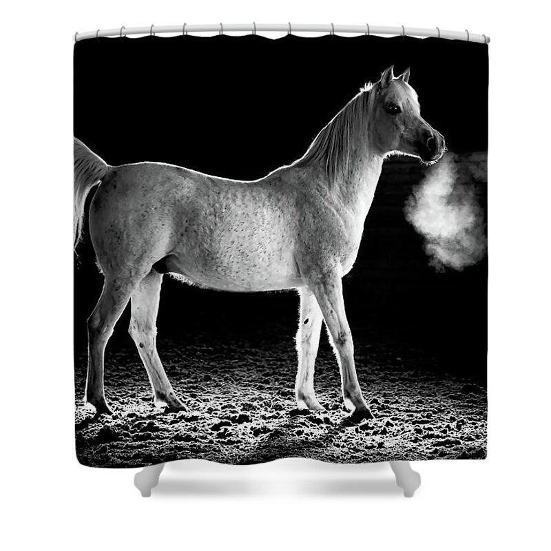 Arabian Horse Shower Curtain featuring the photograph Cavalli Majesty by Athena Mckinzie