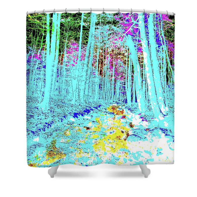 Maine Landscape Shower Curtain featuring the photograph CB Late Fall 2017 35 by George Ramos