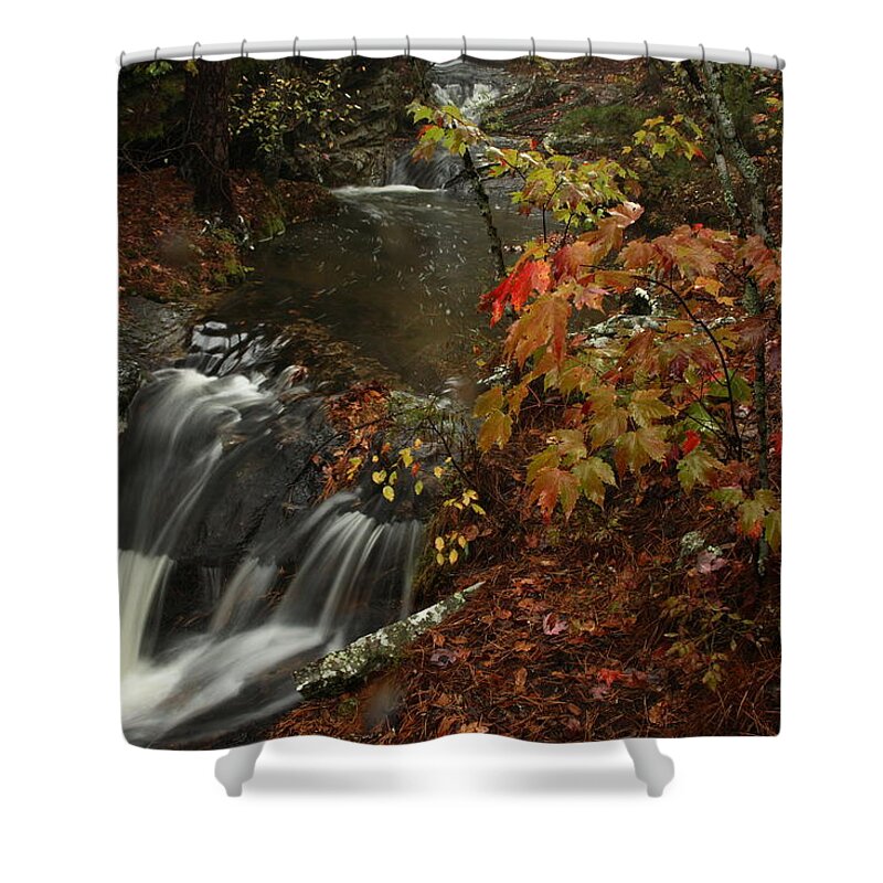 Cecil Cove Shower Curtain featuring the photograph Cecil Cove Runoff by Michael Dougherty