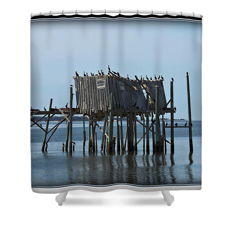 Cedar Shower Curtain featuring the photograph Cedar Key Honeymoon Shack II by Farol Tomson