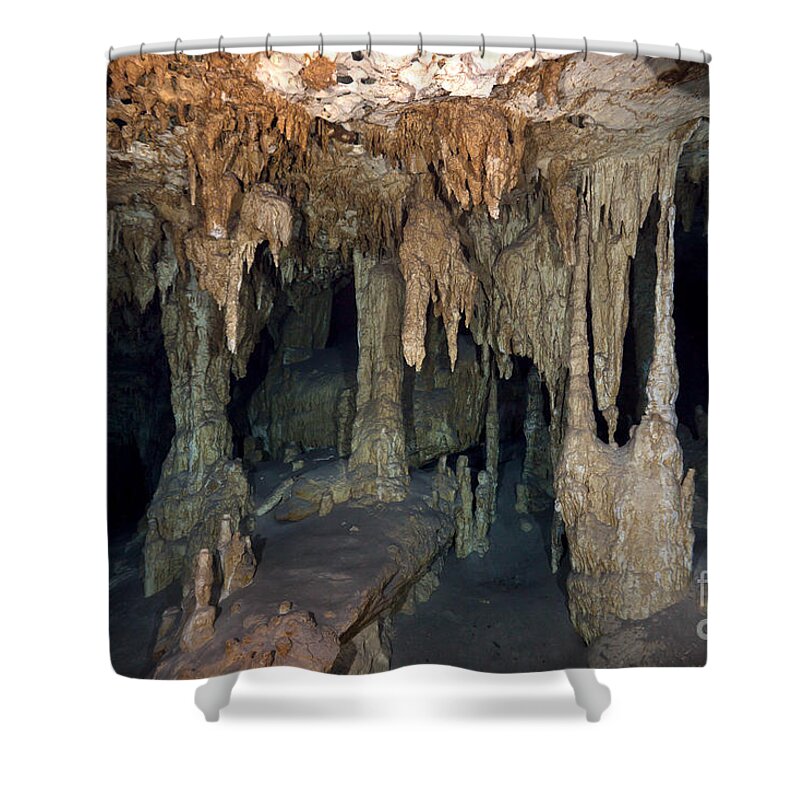 Stalactite Shower Curtain featuring the photograph Cenote - Underwater Cave in Mexico by Anthony Totah