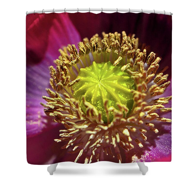 Poppy Shower Curtain featuring the photograph Centerpiece - Red Poppy 009 by George Bostian