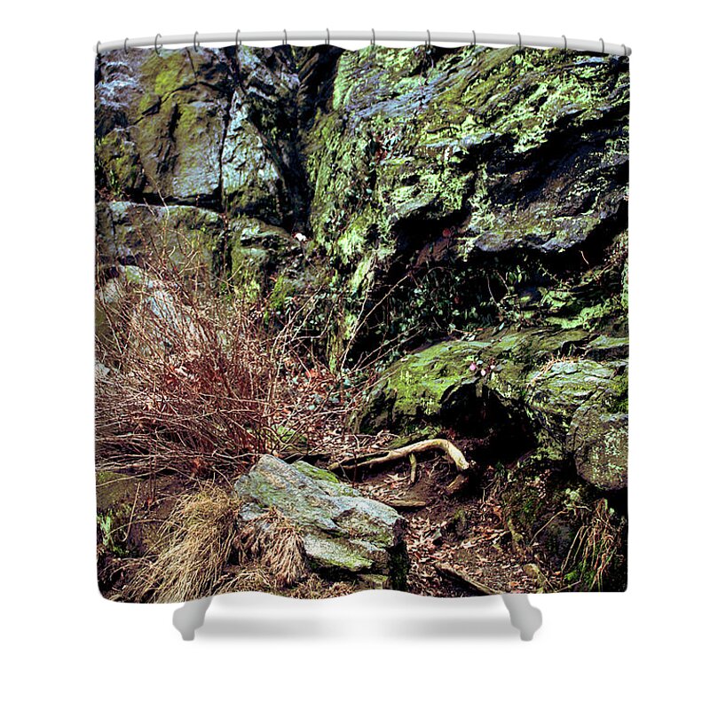 Rock Shower Curtain featuring the photograph Central Park Rock Formation by Sandy Moulder