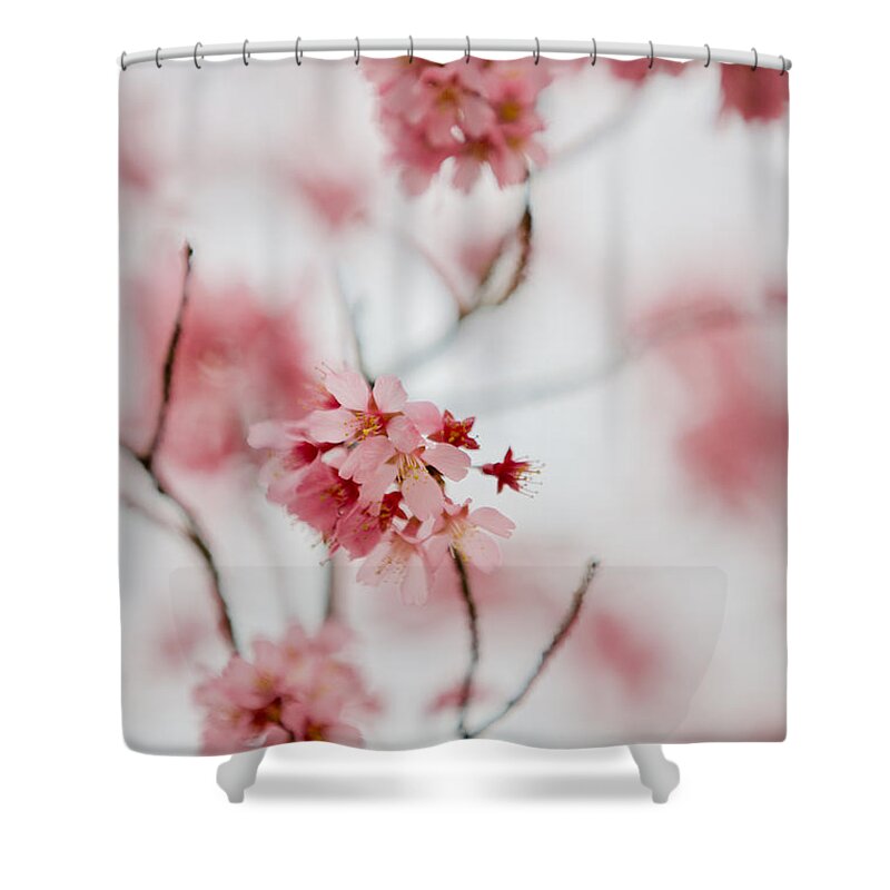Flower Shower Curtain featuring the photograph Champagne Flowers by Lara Morrison