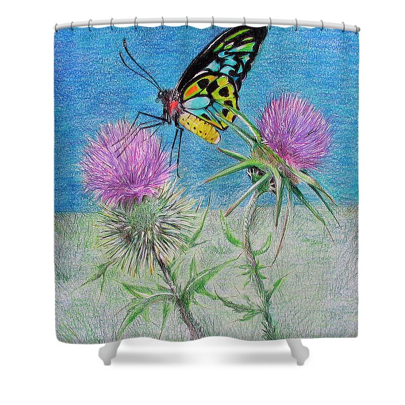 Butterflies Shower Curtain featuring the drawing Changes by Becky Brooks