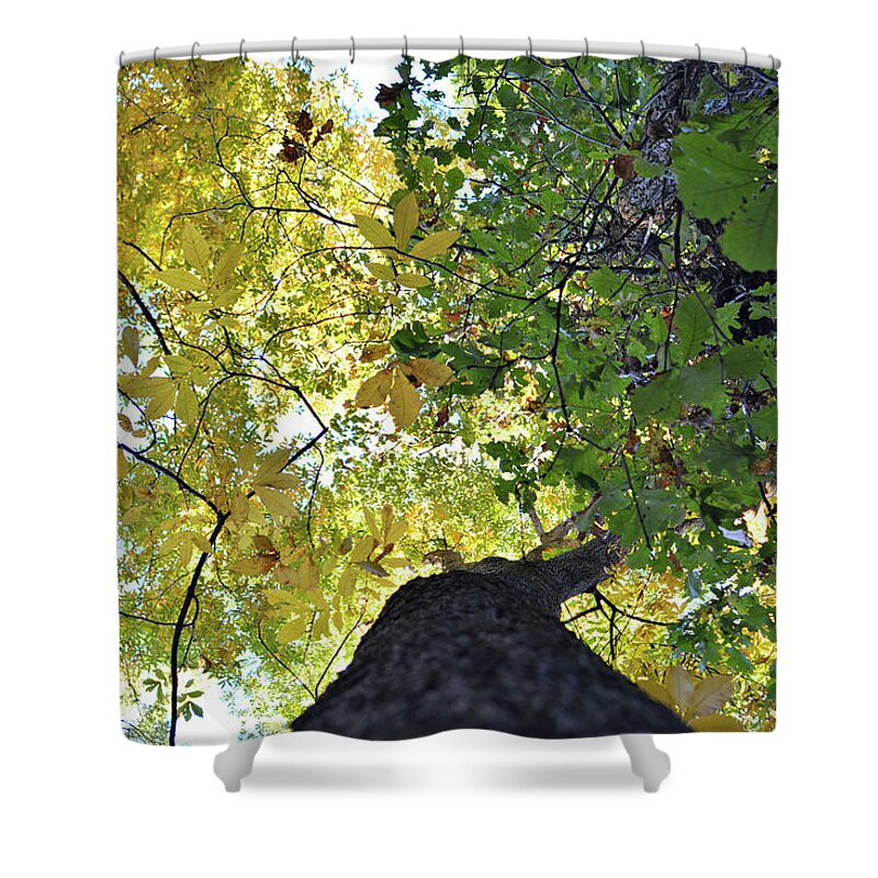 Autumn Shower Curtain featuring the photograph Changes by Bonfire Photography