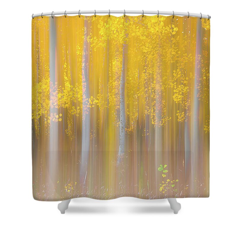 Aspen Shower Curtain featuring the photograph Changing Seasons by Darren White