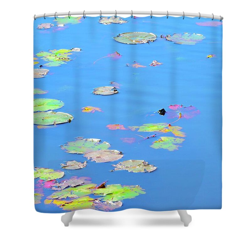 Channing Pond Shower Curtain featuring the photograph Channing Pond by Corinne Rhode