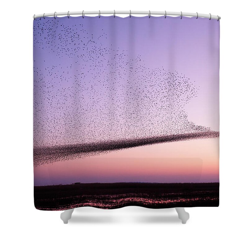 Starling Shower Curtain featuring the photograph Chaos in Motion - Starling Murmuration by Roeselien Raimond