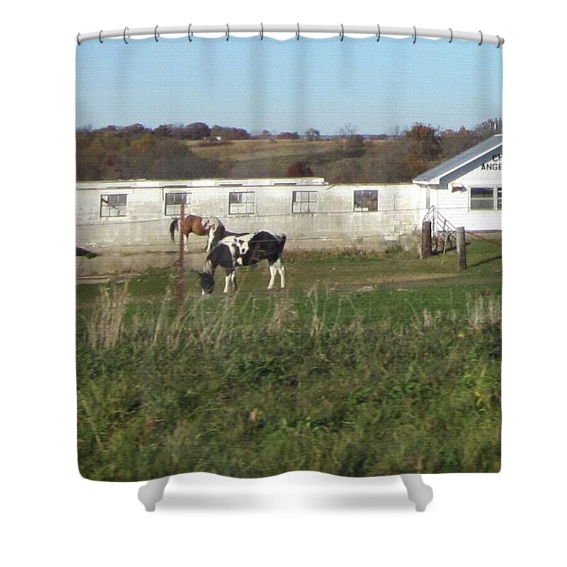 Photography Shower Curtain featuring the photograph Charlie's Angels by Kathie Chicoine