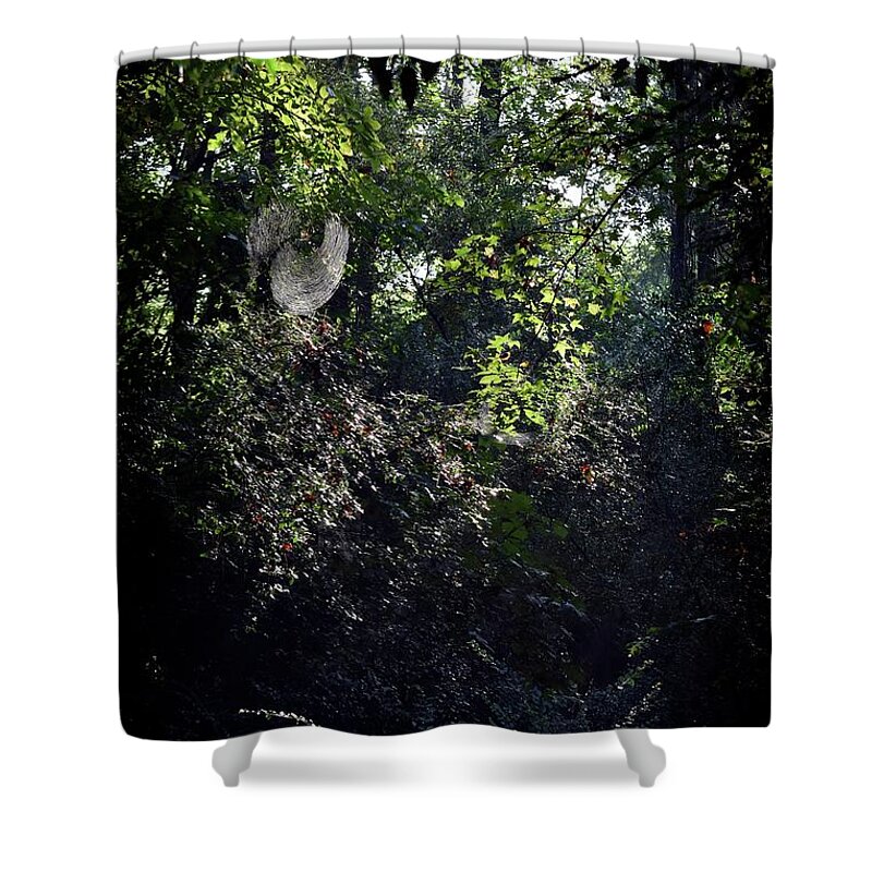 Scenic Shower Curtain featuring the photograph Charlotte's Web by Skip Willits