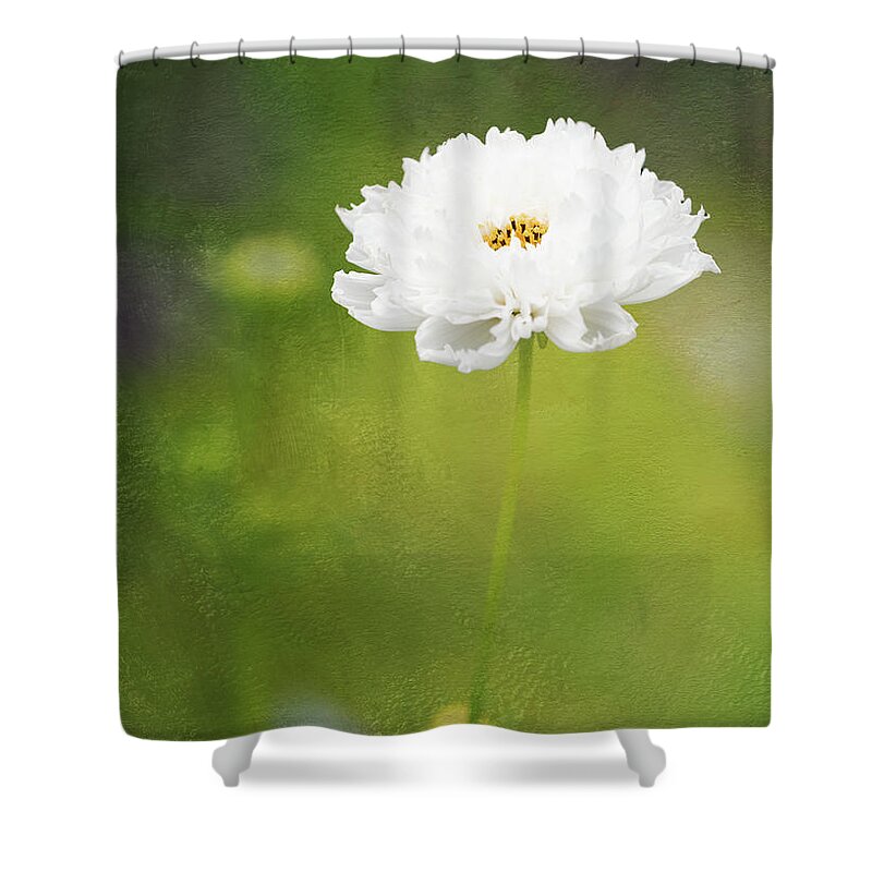 Cosmos Shower Curtain featuring the photograph Charming White Cosmos by Anita Pollak