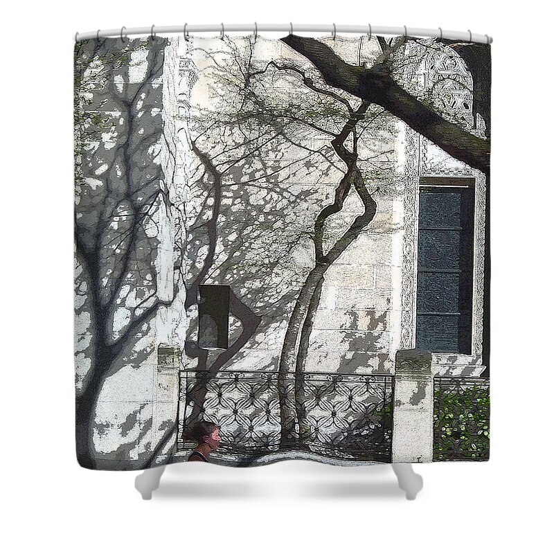 Shadows Shower Curtain featuring the painting Chasing Shadows by Susan Esbensen
