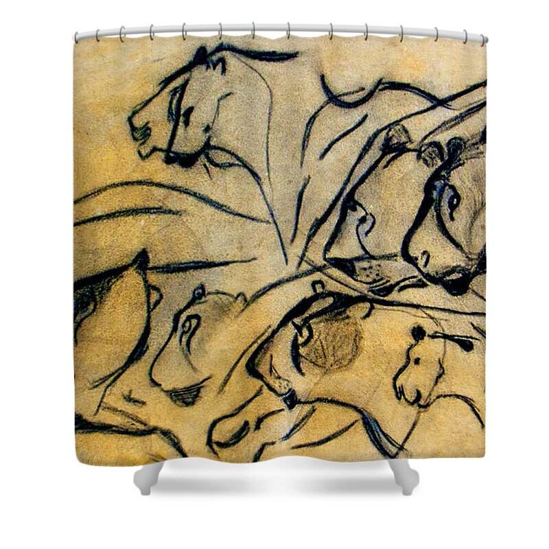 Chauvet Cave Lions Shower Curtain featuring the photograph chauvet cave lions Clear by Weston Westmoreland