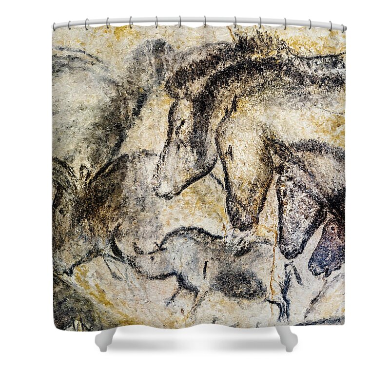 Chauvet Horse Shower Curtain featuring the photograph Chauvet Horses Aurochs and Rhinoceros by Weston Westmoreland