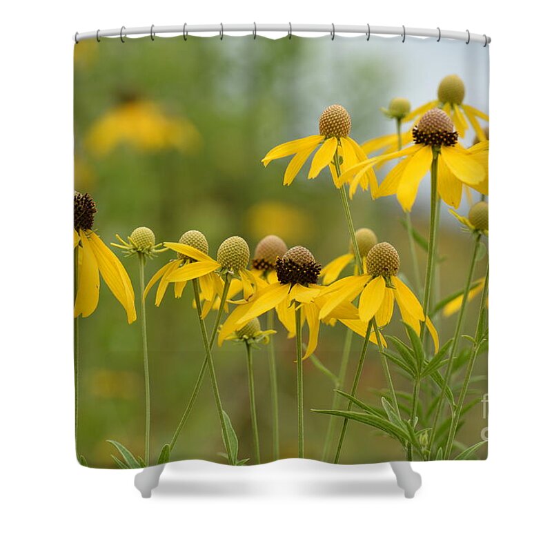 Cheerful Shower Curtain featuring the photograph Cheerful by Maria Urso