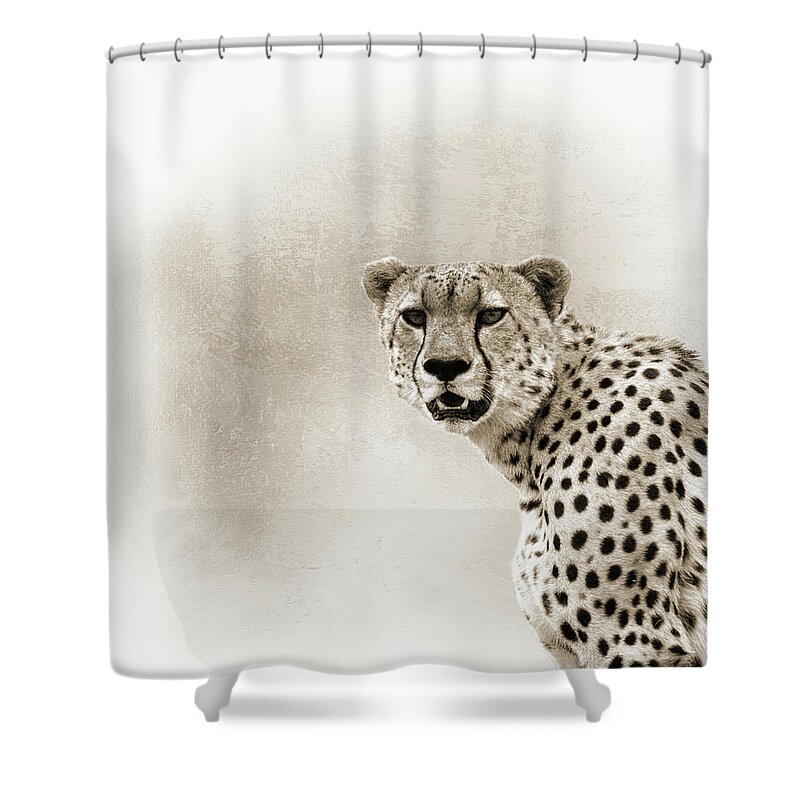 Animal Shower Curtain featuring the photograph Cheetah Sepia Closeup Square by Good Focused