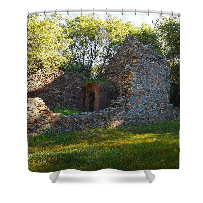 Ruins Of The Cherokee Gold Assayers Office Shower Curtain featuring the photograph Cherokee Gold Assayers Office Ruins by Frank Wilson