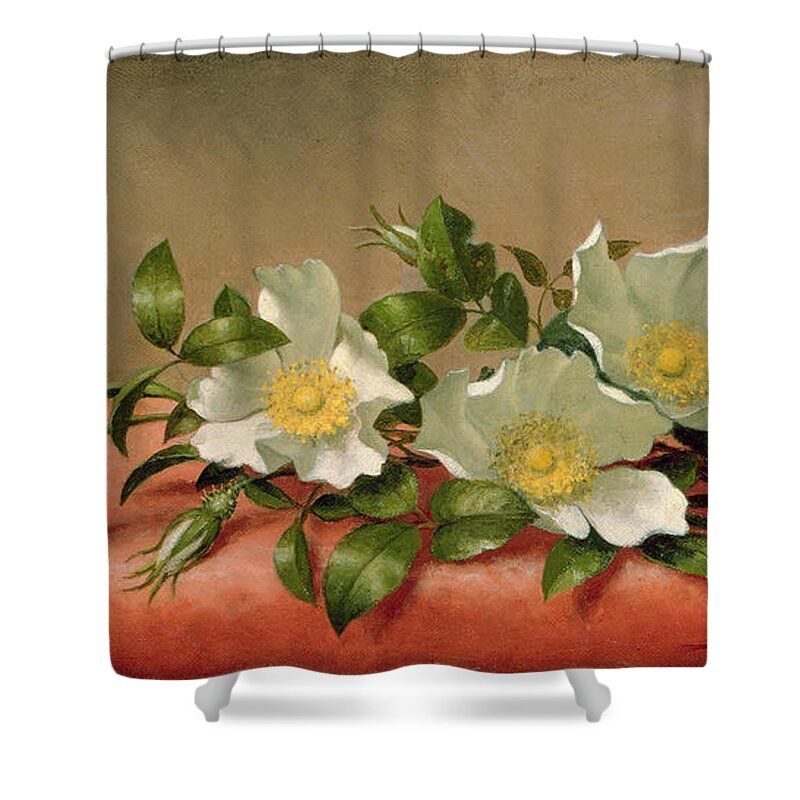 Cherokee Shower Curtain featuring the painting Cherokee Roses by Martin Johnson Heade
