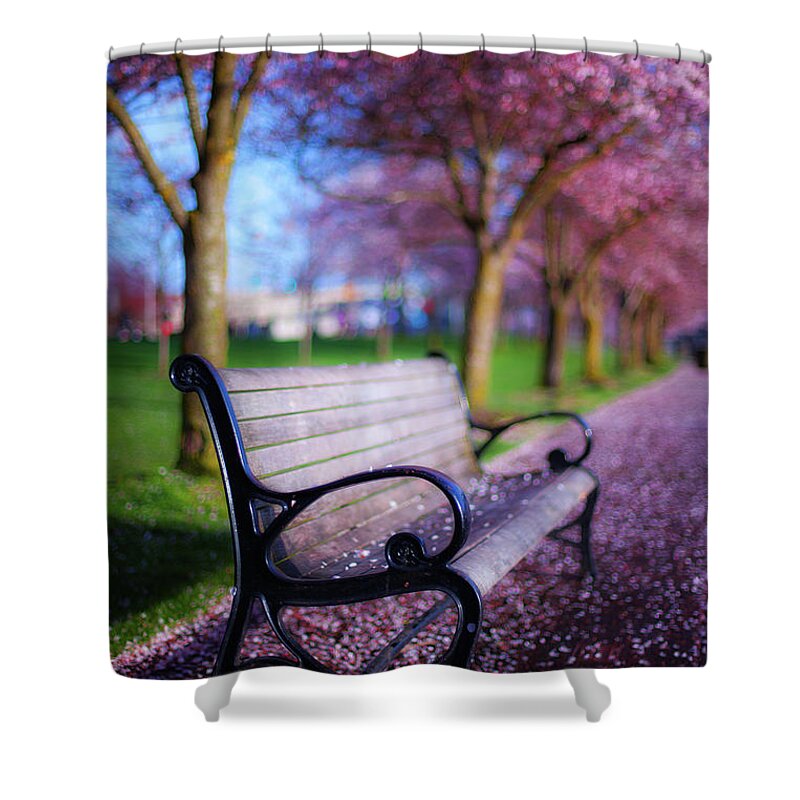 Spring Shower Curtain featuring the photograph Cherry Blossom Bench by Darren White