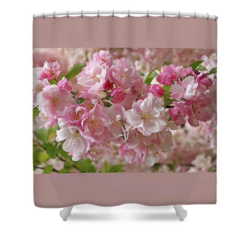 Cherry Blossom Shower Curtain featuring the photograph Cherry Blossom Closeup by Gill Billington