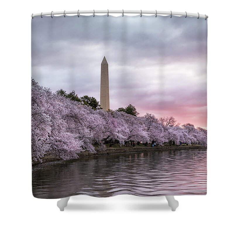 Washington Shower Curtain featuring the photograph Cherry Blossom by Mike Centioli