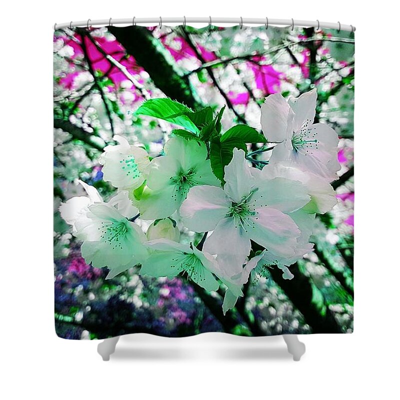 Fantasy Shower Curtain featuring the photograph Cherry Blossom Splash In Teal Touch by Rowena Tutty