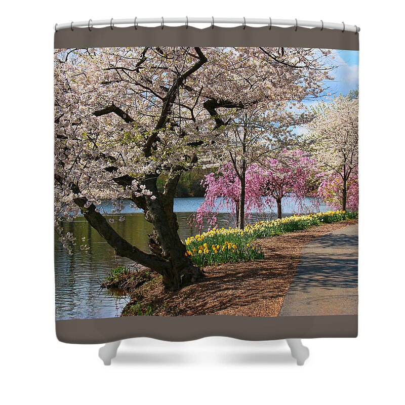 Cherry Blossoms Shower Curtain featuring the photograph Cherry Blossom Trees of Branch Brook Park 17 by Allen Beatty
