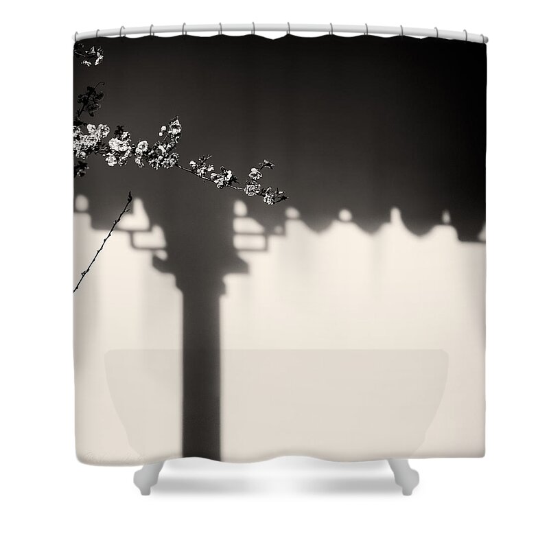 Dr. Sun Yat-sen Chinese Garden Vancouver Shower Curtain featuring the photograph Cherry Blossoms and Shadow by Peter V Quenter