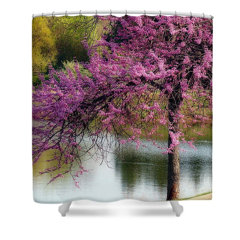 Tree Shower Curtain featuring the photograph Cherry Blossoms by the Pond by Sue Melvin