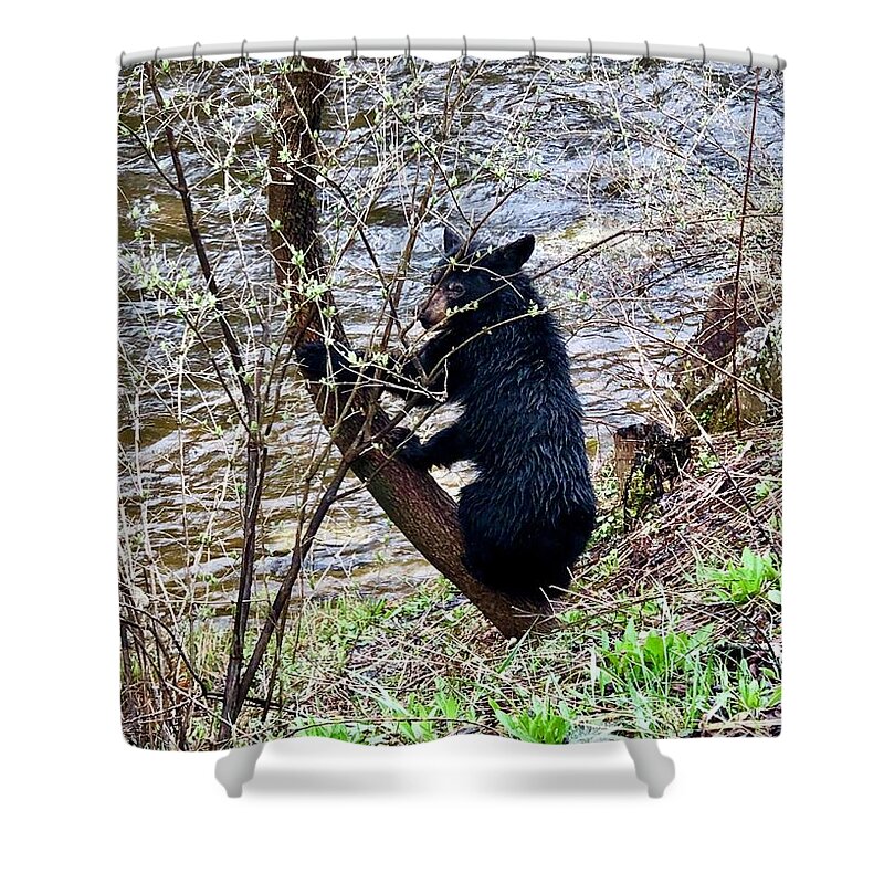 Bear Shower Curtain featuring the photograph Cherry River Black Bear by Chris Berrier