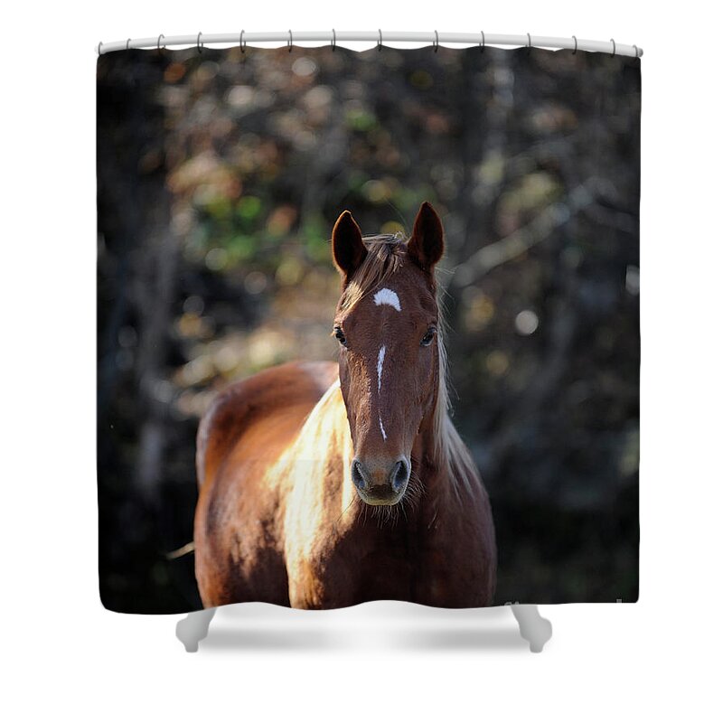 Rosemary Farm Shower Curtain featuring the photograph Glory by Carien Schippers