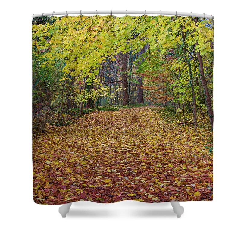 Wissahickon Shower Curtain featuring the photograph Chestnut Hill - Autumn Carpet by Bill Cannon