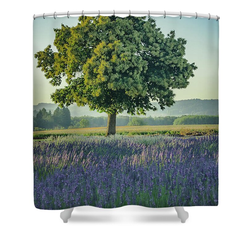Countryside Shower Curtain featuring the photograph Chestnut in Lavender by Don Schwartz