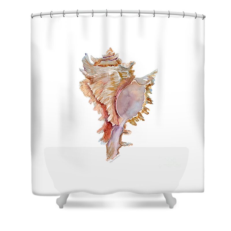 Shell Shower Curtain featuring the painting Chicoreus Ramosus Shell by Amy Kirkpatrick