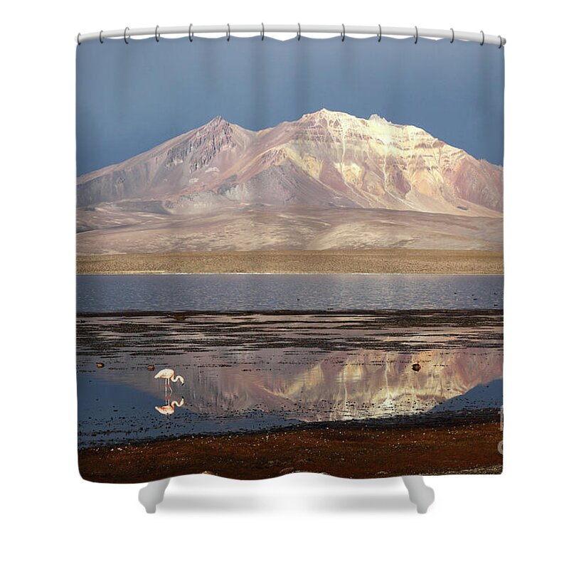 Chile Shower Curtain featuring the photograph Chilean Flamingo at Lake Chungara on a Stormy Afternoon by James Brunker