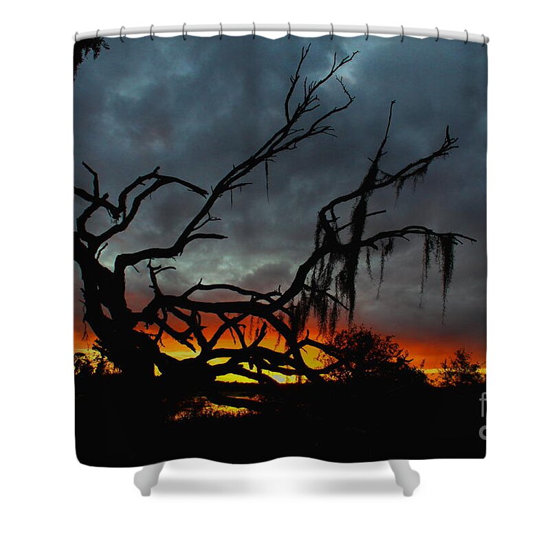 Florida Sunset Shower Curtain featuring the photograph Chilling Sunset by Barbara Bowen