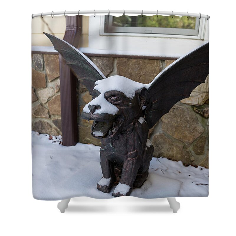 Gargoyle Shower Curtain featuring the photograph Chimera In The Snow by D K Wall
