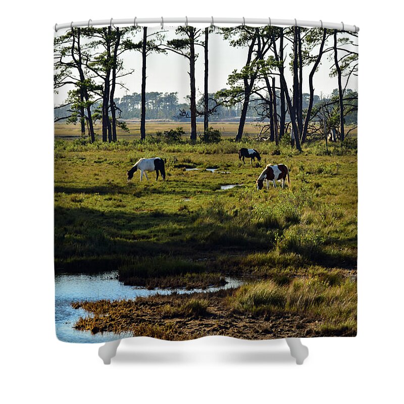 Chincoteague Shower Curtain featuring the photograph Chincoteague Ponies by Nicole Lloyd