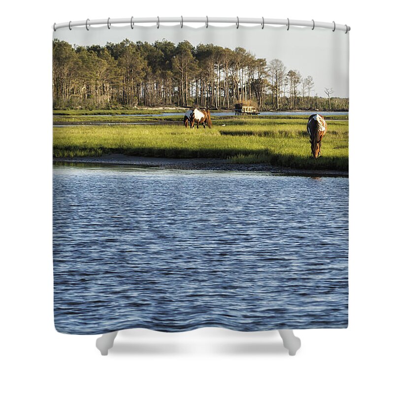 Ponies Shower Curtain featuring the photograph Chincoteague Ponies on Assateague Island by Belinda Greb