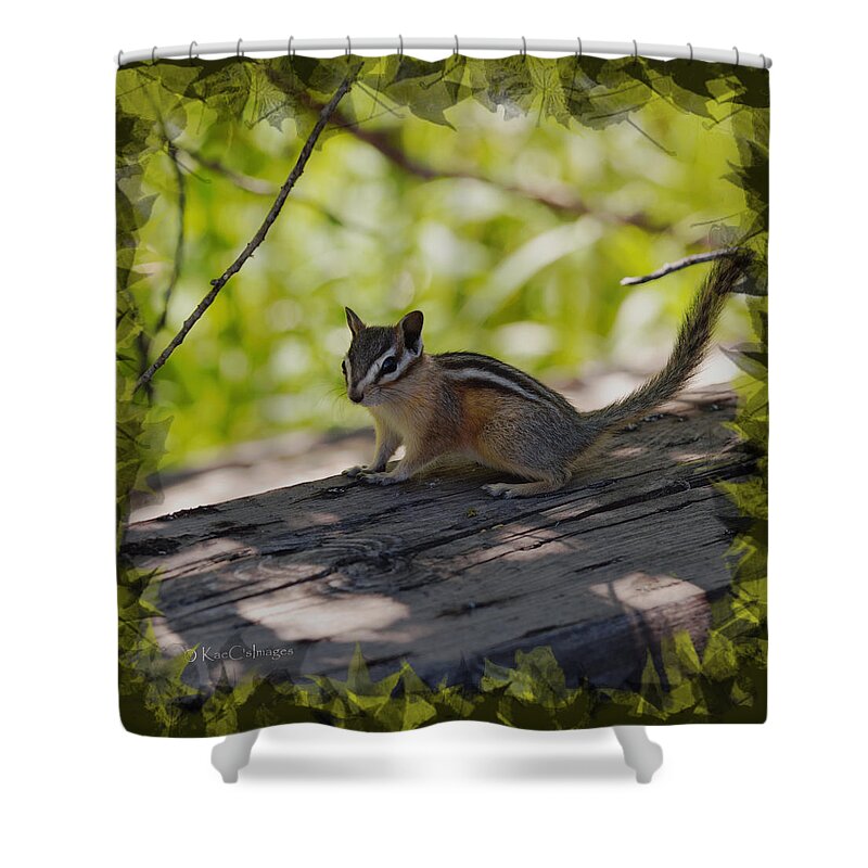Chipmunk Shower Curtain featuring the mixed media Chipmunk in the Shade by Kae Cheatham
