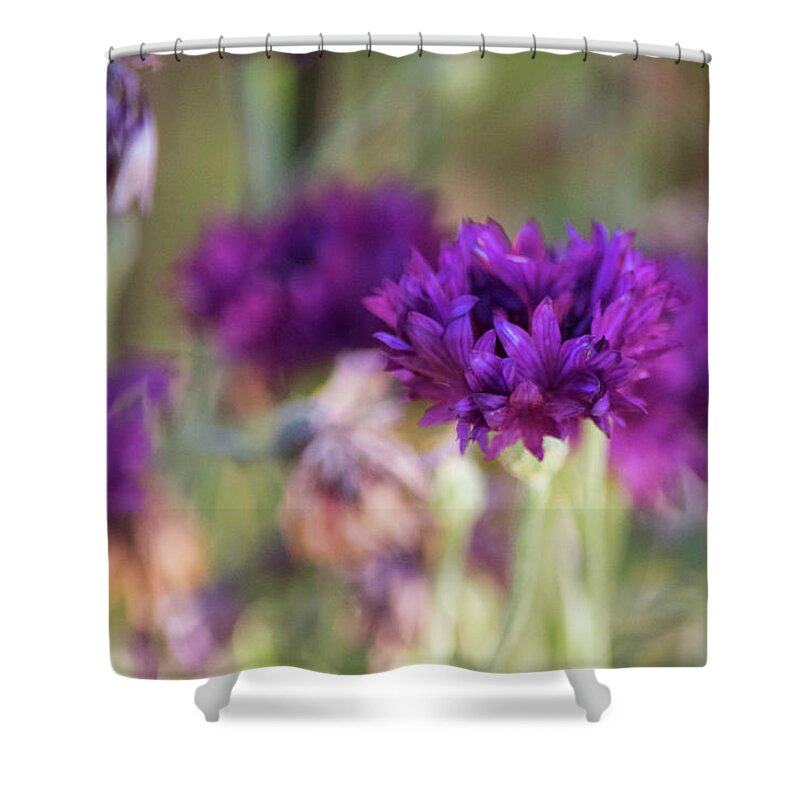 Purple Flowers Shower Curtain featuring the photograph Chive Blossoms by Bonnie Bruno