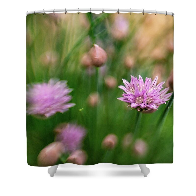 Chive Shower Curtain featuring the photograph Chive Cookery by Pamela Taylor
