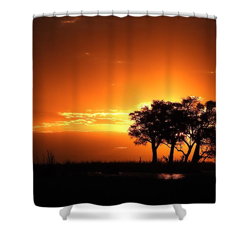 Sunset Shower Curtain featuring the photograph Chobe River Sunset by Betty-Anne McDonald