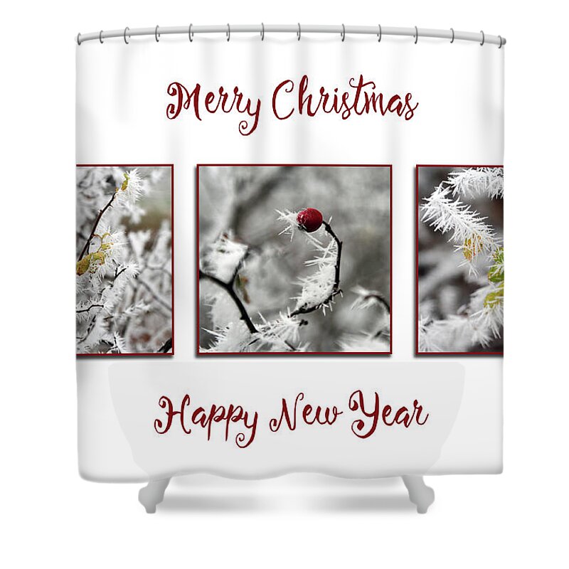 Elegant Shower Curtain featuring the photograph Christmas Needles by Randi Grace Nilsberg