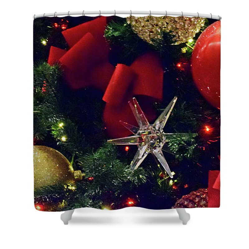 Christmas Ornaments Shower Curtain featuring the photograph Christmas Ornaments No. 1-1 by Sandy Taylor
